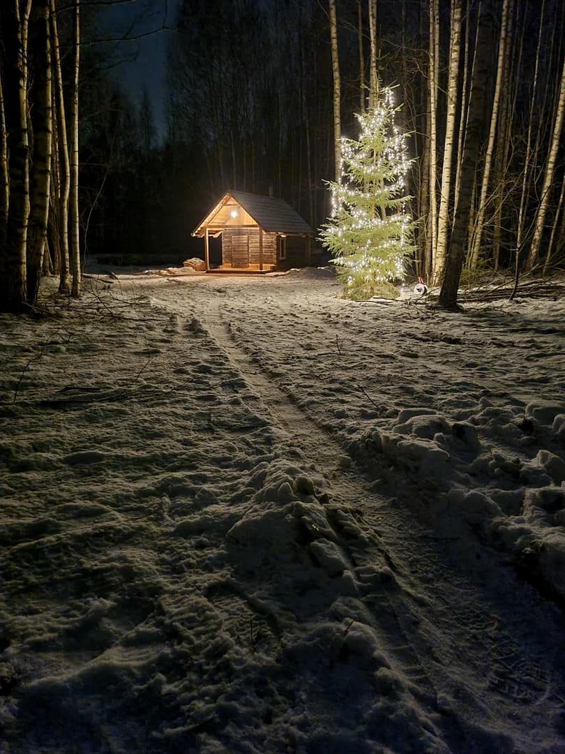 Best Saunas in Estonia
